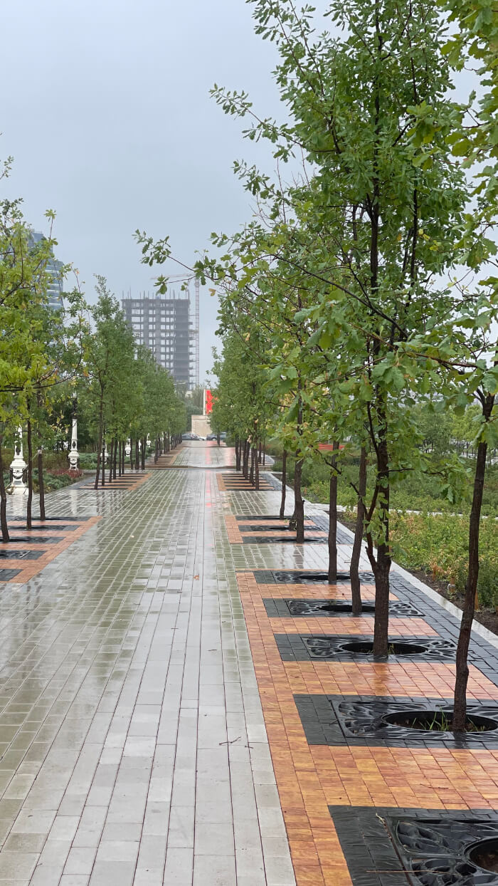 Приствольная решетка для дерева ZKING CRUST 1.2х1.2м Черная в Йошкар-Оле фото